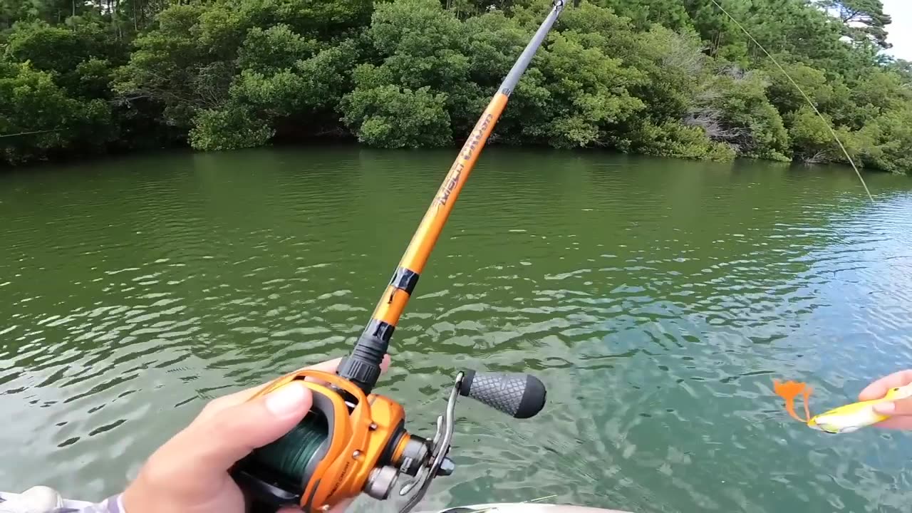 Fishing a Duck Lure for Pond MONSTERS!