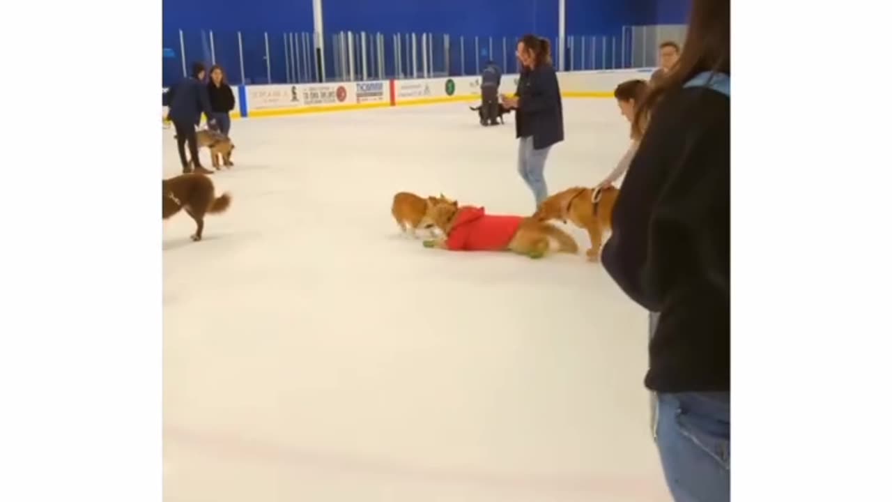 First time iceskating