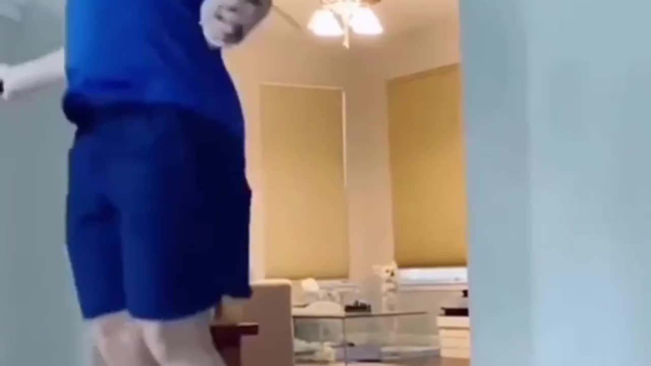 The Pup That 😛Imitates His Owner Jumping !