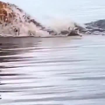 NEVER EVER EVER give up!