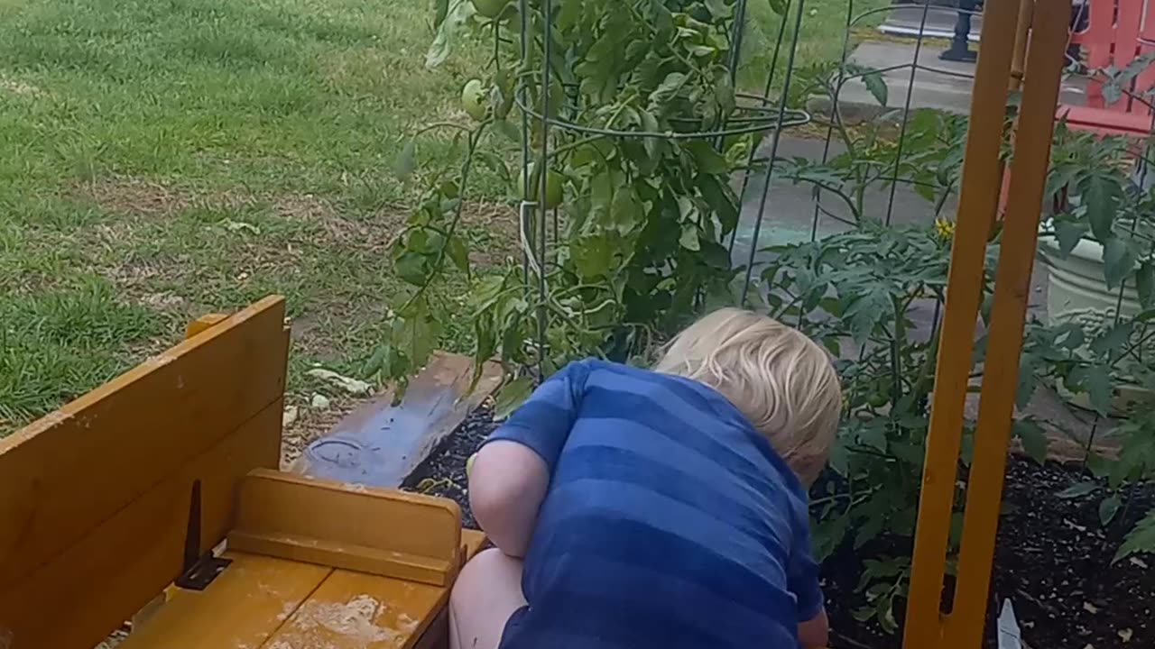 Moving sand from sandbox to the garden