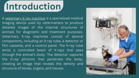 Uses Of veterinary X-Ray Machines