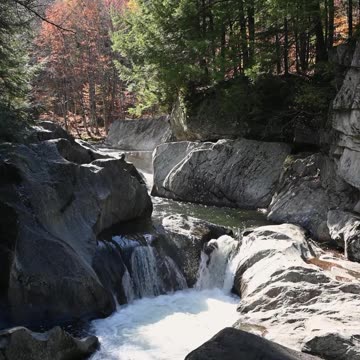 Just Praise the Lord! - Psalm 150 #jesus #motivation #scripturereading