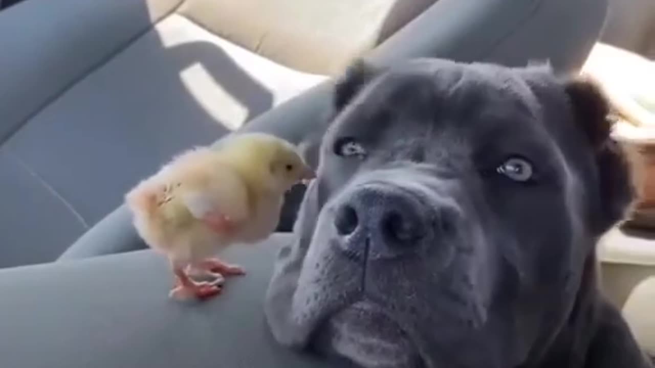🤣🤣🤣
