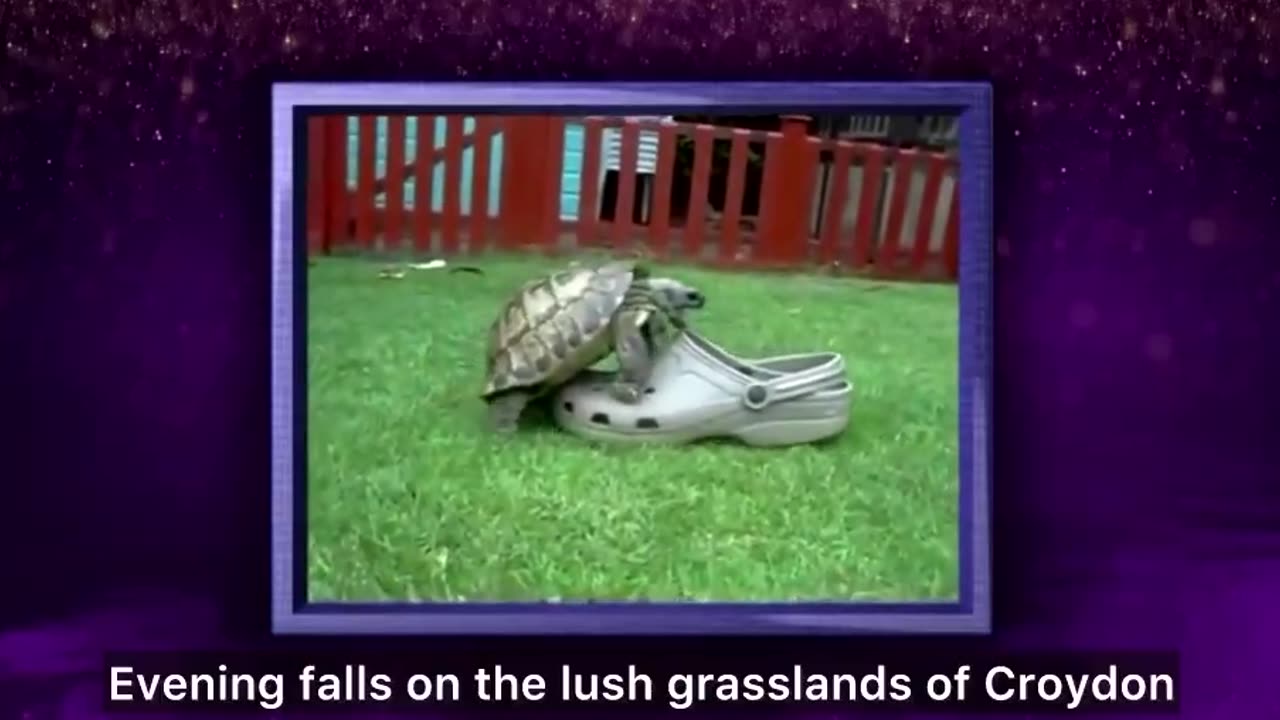 Sir David Attenborough narrating over a tortoise trying to mate with a Croc is absolutely iconic