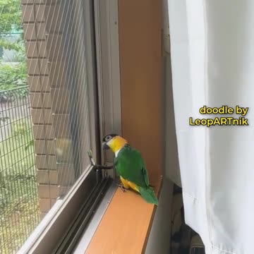 Brushstrokes of Freedom: Bird Art Showcase