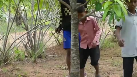 Village Boys Found Giant Snake Attack Poor Goat At The Field 😱🥺