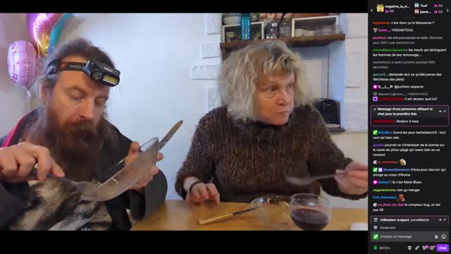 2023-01-27 (1bis.1) - Dérapage avec Jeanne - Twitch Decheterie (version avec chat)