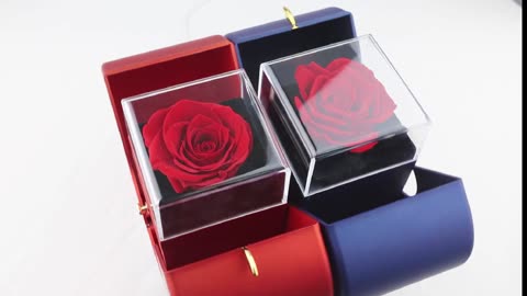 Preserved Real Rose with "I Love You" Necklace in 100 Languages: Christmas Gift For Her