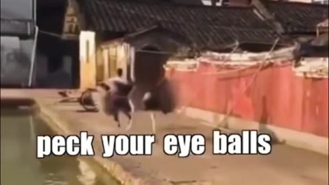 try not to laugh - best #funny #epic #fails EP110 #shorts #humor