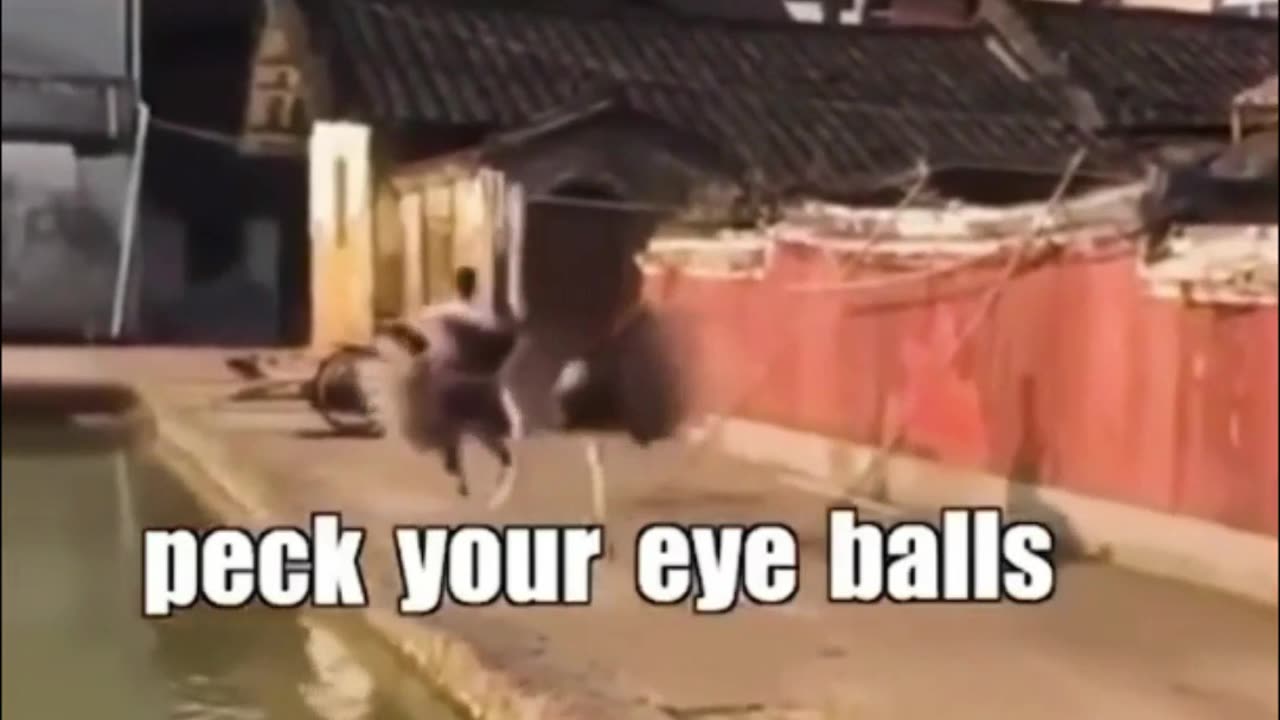 try not to laugh - best #funny #epic #fails EP110 #shorts #humor