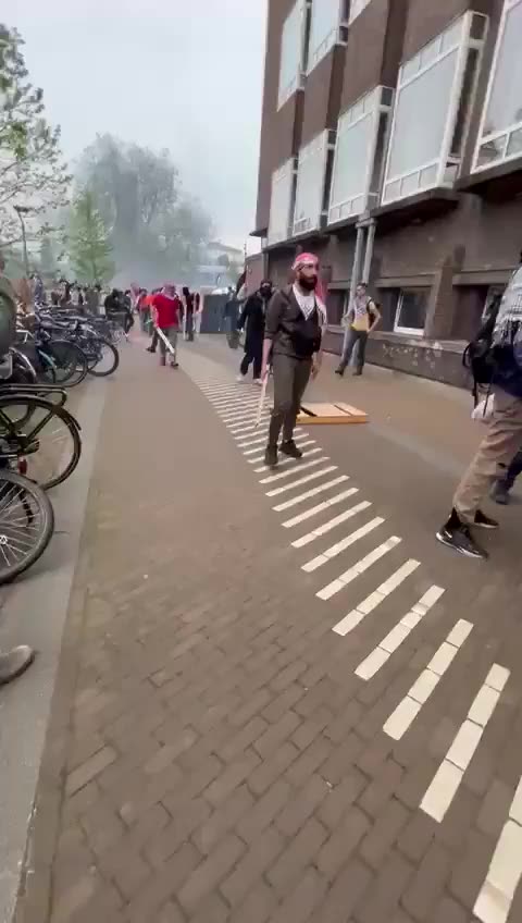 University of Amsterdam as pro-Palestine protestors beat locals with sticks