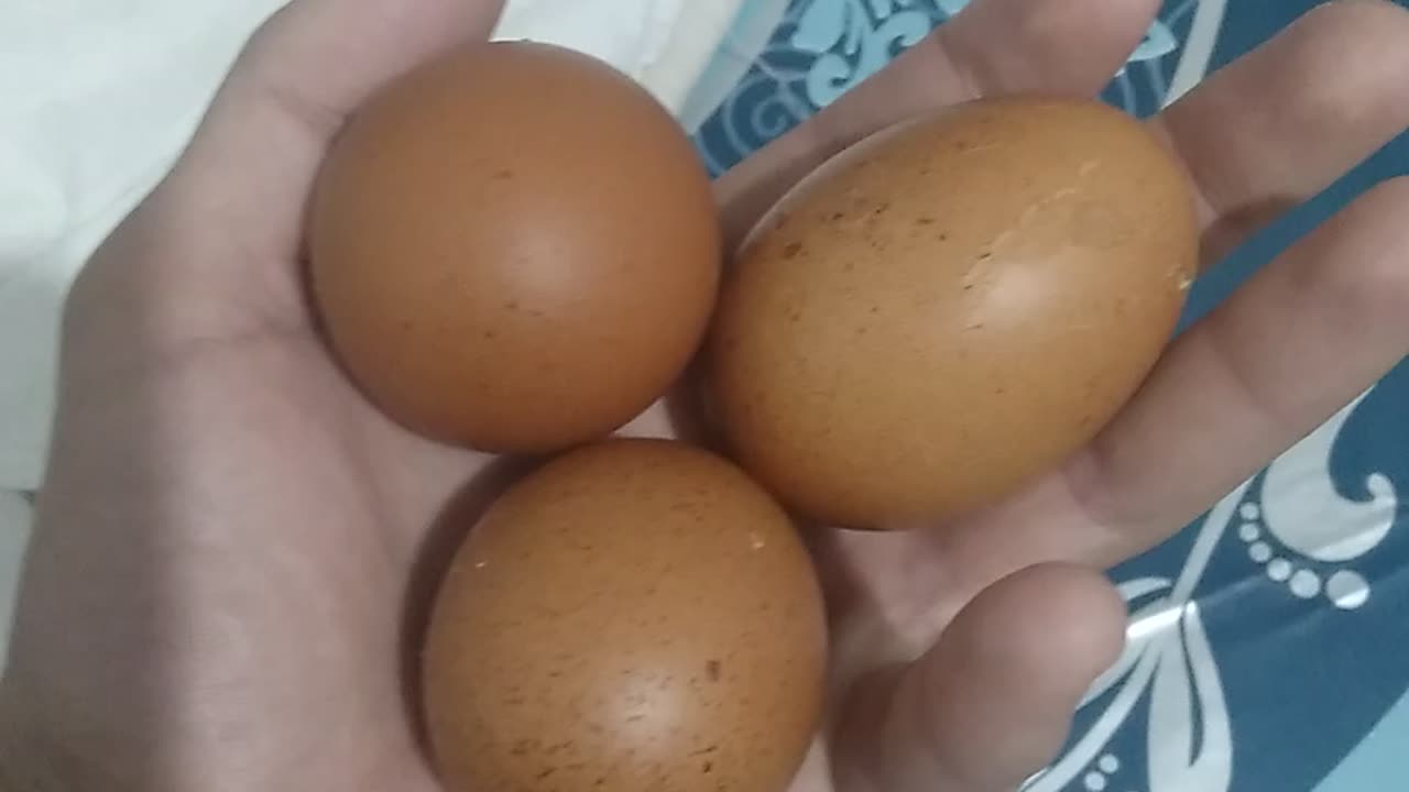 البيض درهم فقط 🥚 🥚