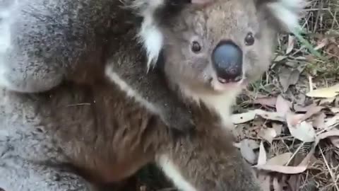 So cute snuggle time 💕 💗 💓 😍 💖