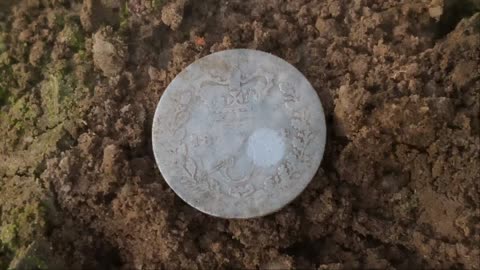 Big Coin Metal Detecting