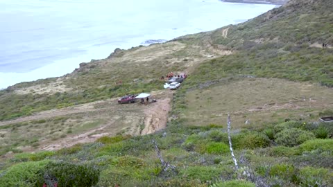 Missing US, Australian tourists confirmed dead in Mexico