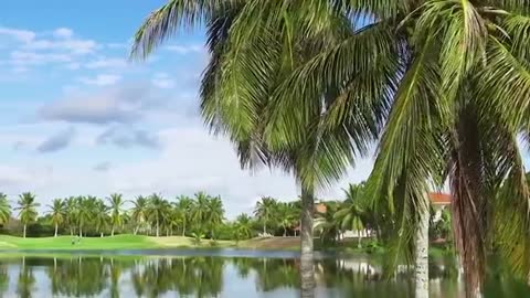 Anti-White Lunacy Goes Supernova in America!