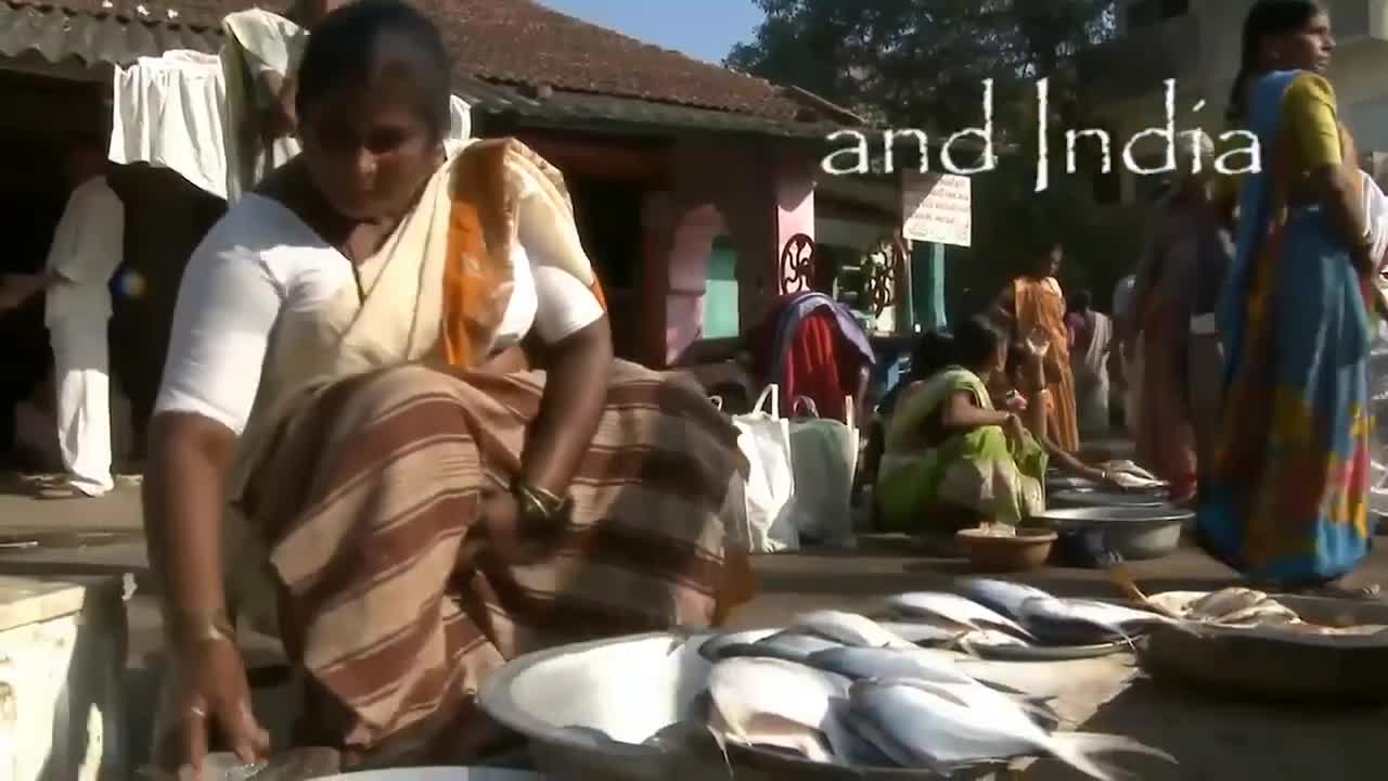 2023 01 29 John Haller "“The Silence of the Shepherds"