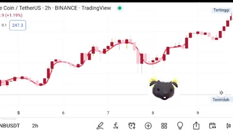 The BNBUSDT more than what markets are expecting