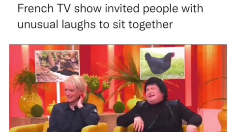 Unique laughing sound people meets together