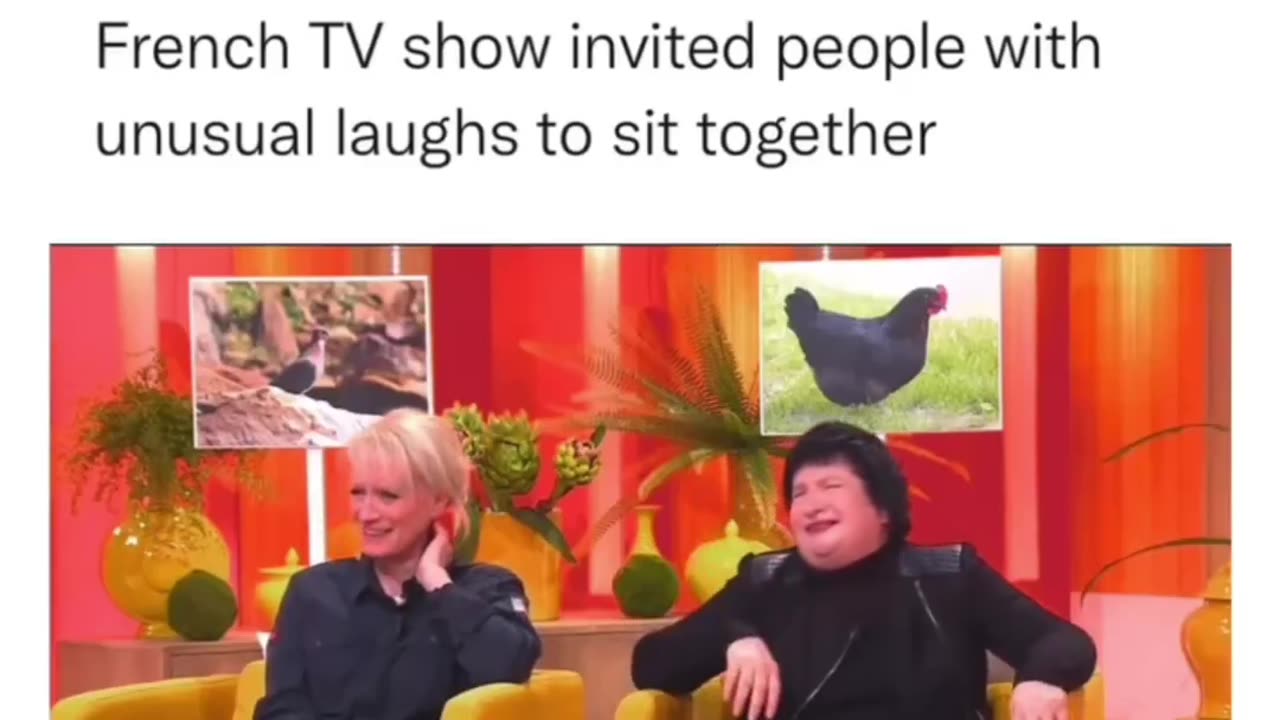 Unique laughing sound people meets together