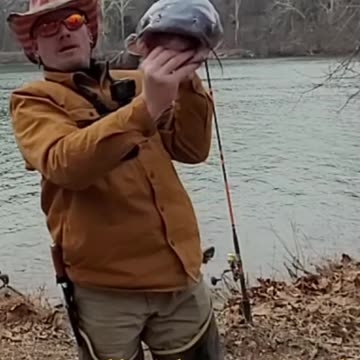 20 lb Blue Catfish Catch