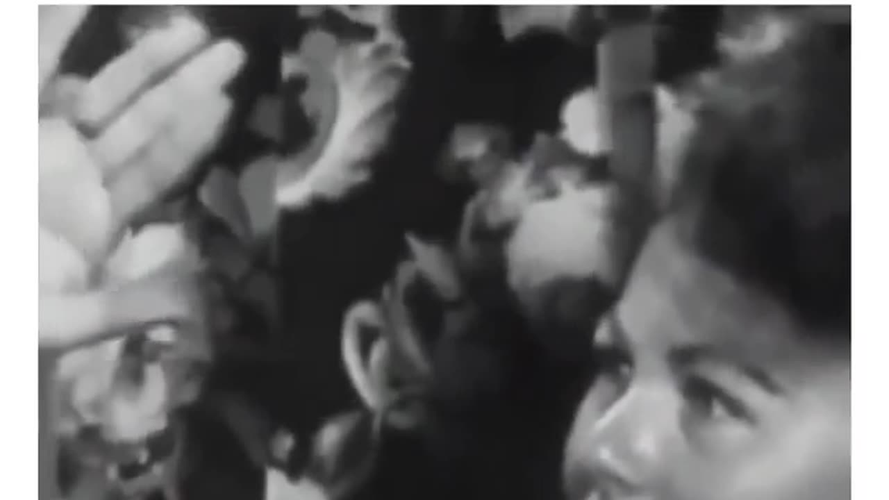 Another Free Energy principle is in LSD