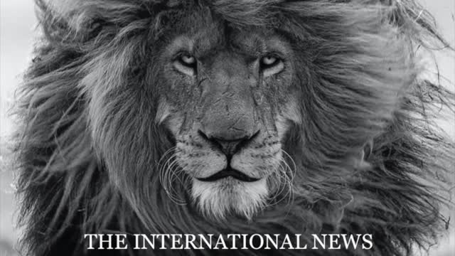 THE NEW WORLD ORDER SHOW TEST