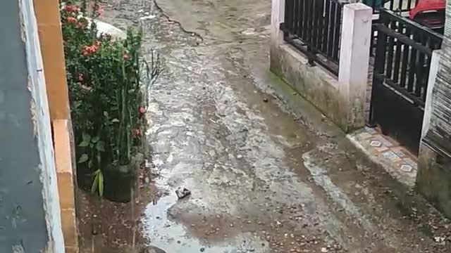 The rain that picks up longing