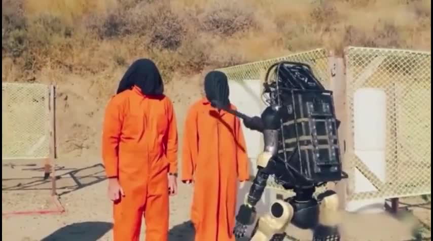 Rise of The Machines