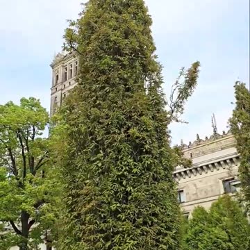 An advertisement which appears to encourage non European immigration to Poland