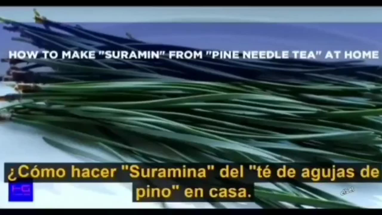 Suramina revierte el efecto de las vacunas y el autismo. Te de agujas de pino 19-COV