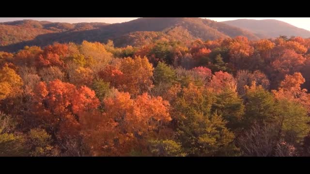 Relaxing music with scenery 1000