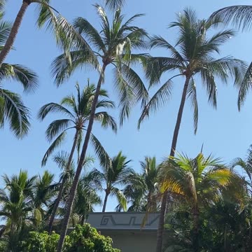 Finally at hotel in Mexico