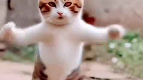 Cute is Dancing with music #funny #viral #trending #shorts