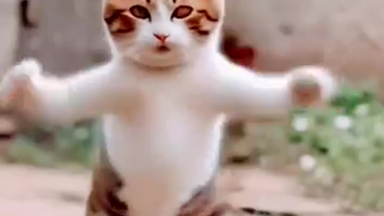 Cute is Dancing with music #funny #viral #trending #shorts