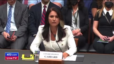 Tulsi Gabbard on the state of democracy
