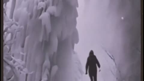 Skier realizes he past a Yeti not a pine tree!