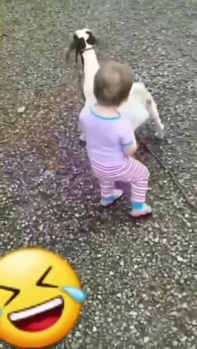 Gr liton best fun TV, Funny Video Clips # - 75