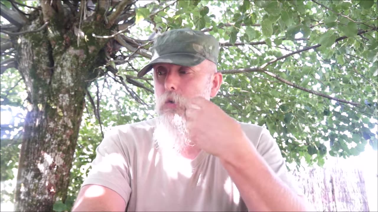 Thulean Perspective - About Red Pilling other Snow Niggas