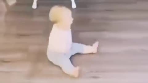 funny crawling kids