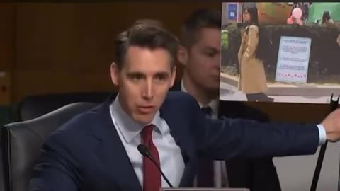 Sen Josh Hawley drills dreamer representatives sponsoring pro-Palestine illegal immigrants