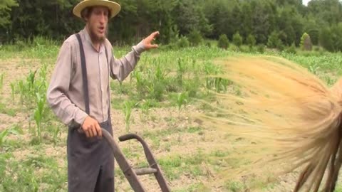 Horse-Drawn Weed Control | Titus Morris