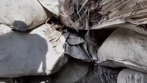 An episode of a tense battle near the village of Bilogorivka, Luhansk region, from
