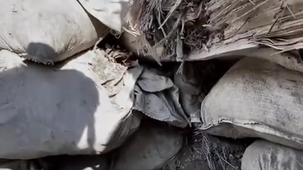 An episode of a tense battle near the village of Bilogorivka, Luhansk region, from
