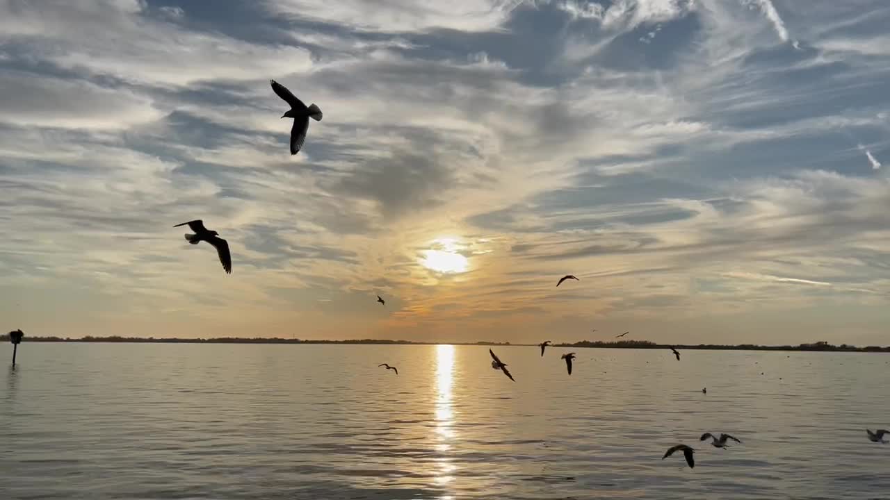 Birds having fun 😍