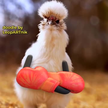 Feathered Fantasies: Inspiring Bird