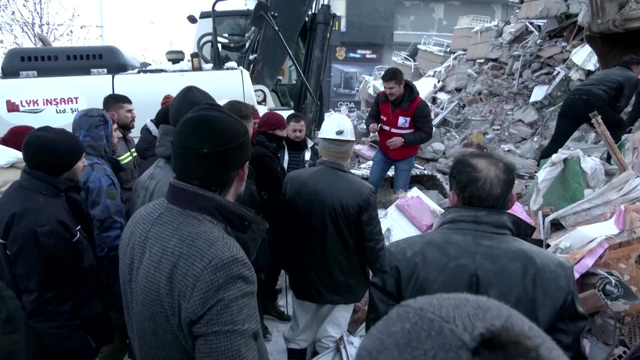 Rescuers pull pet parrot from rubble in Turkey