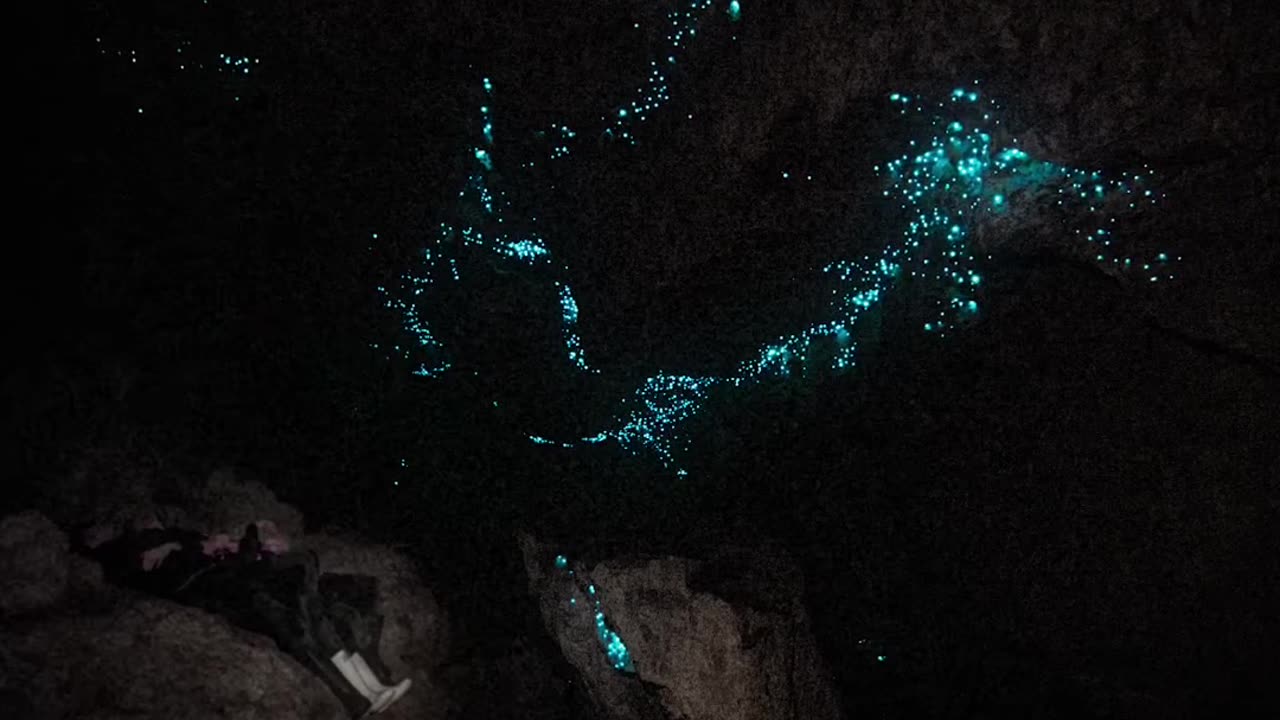 #1Unbelievable Glow Worm Chamber Experience. A Trek Worth Taking #mrbeastshorts #mrbeast #viralshort