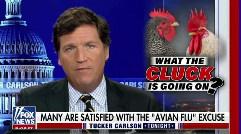 Tucker Carlson: What The Cluck Is Going On?!